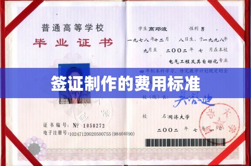 桑植签证制作的费用标准