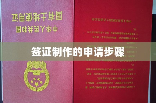 桑植签证制作的申请步骤